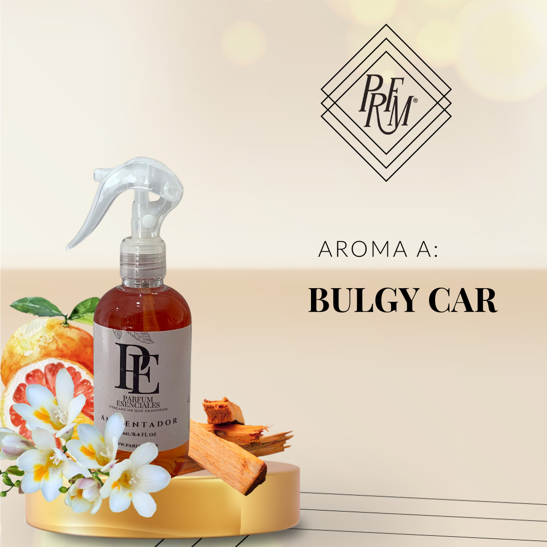 AMBIENTADOR BULGY CAR