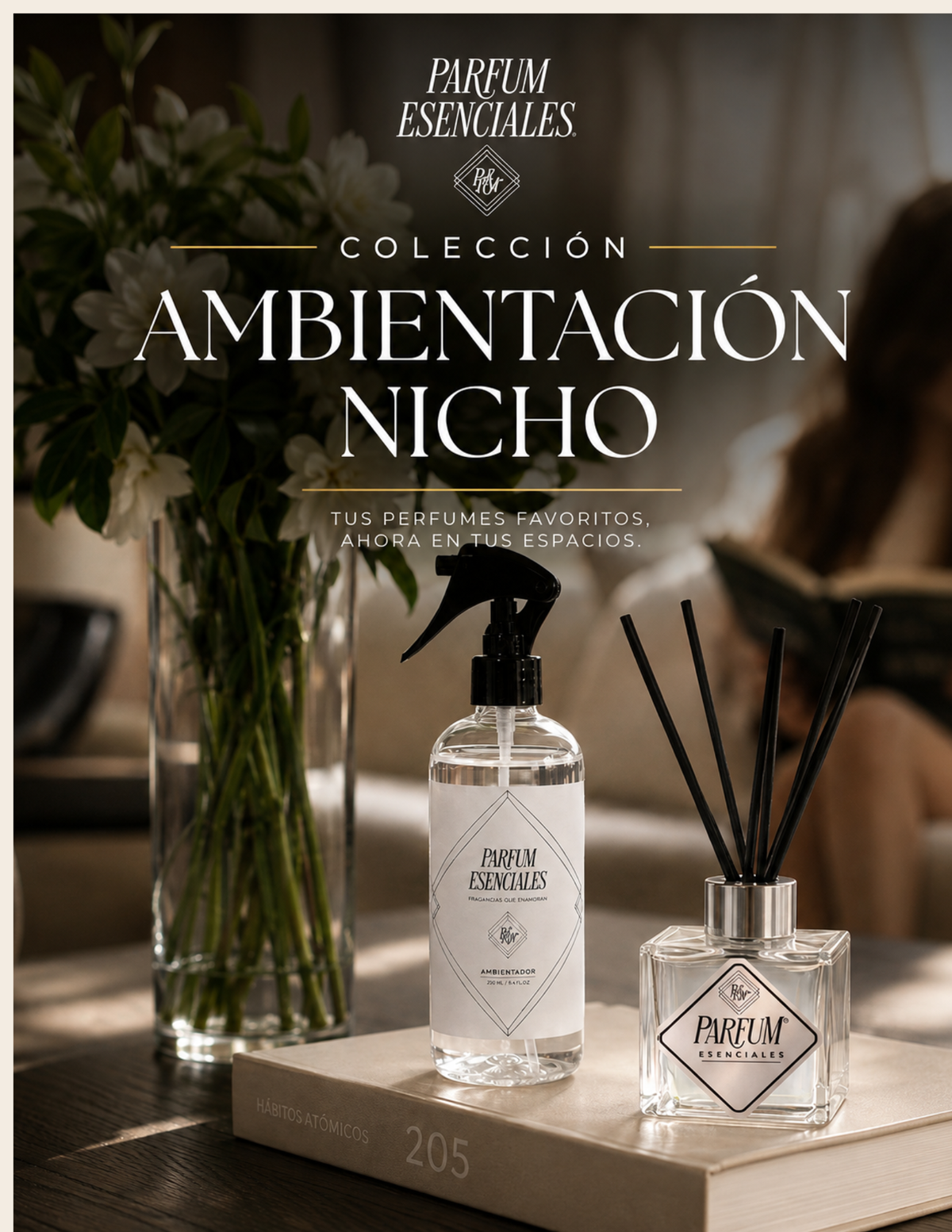 AMBIENTACIÓN NICHO
