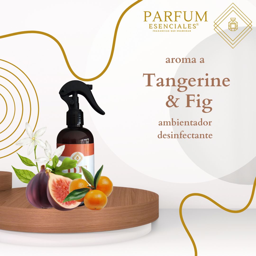 AMBIENTADOR TANGERINE & FIG-INNOVA