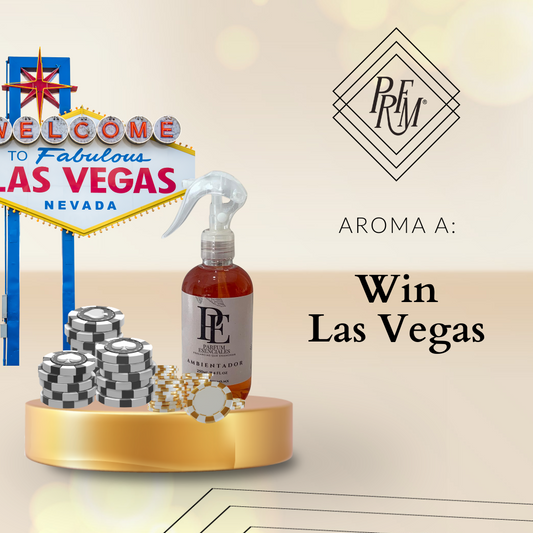 AMBIENTADOR  WIN LAS VEGAS