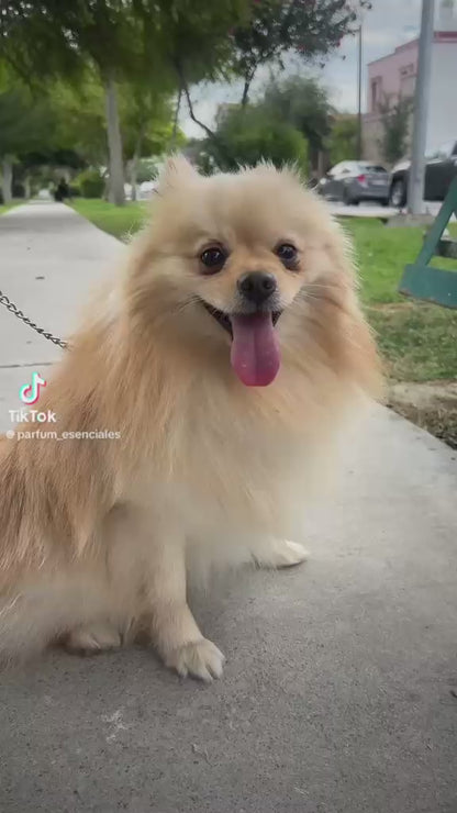 PUPPY CALM-PET PERFUME